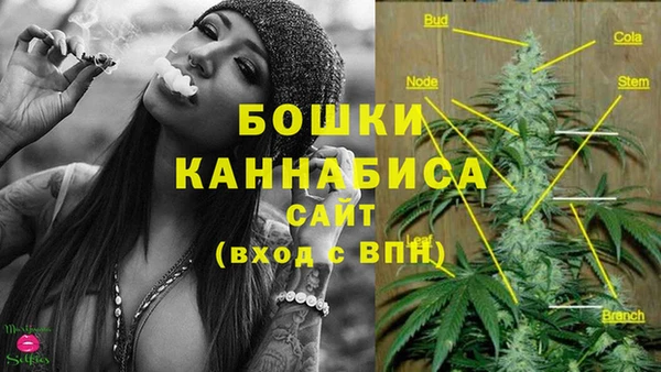 не бодяженный Елабуга