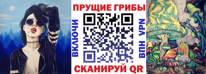Галлюциногенные грибы прущие грибы  сайты даркнета какой сайт  Знаменск  магазин продажи наркотиков 