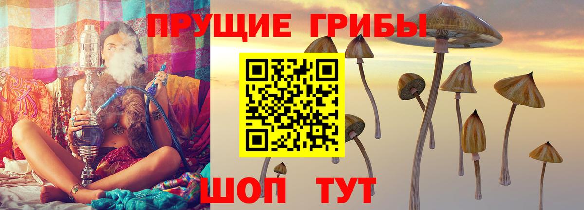 Галлюциногенные грибы прущие грибы Знаменск