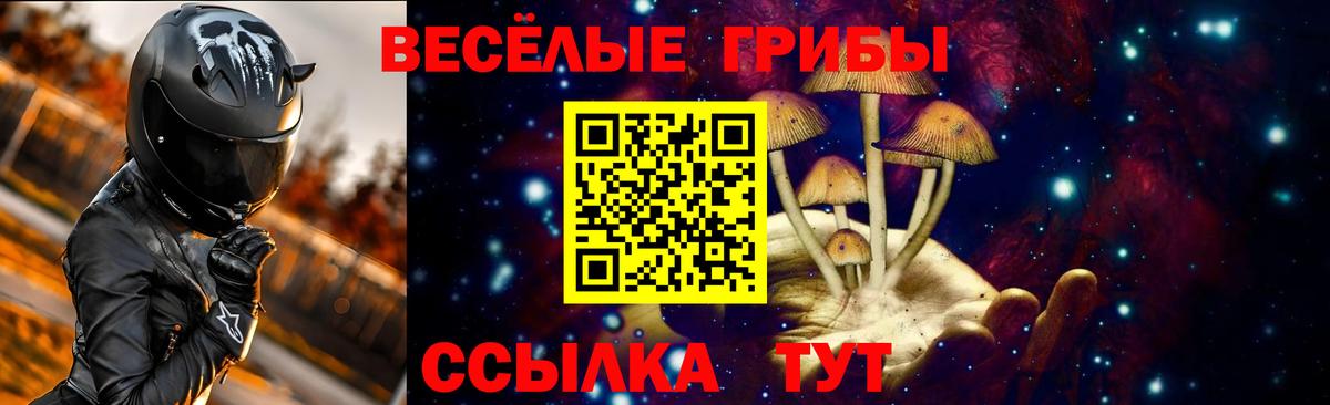 Галлюциногенные грибы Psilocybine cubensis  Вход с VPN  Знаменск 